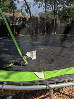 Trampooline