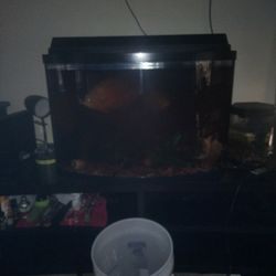 36 Gallon Aquarium 