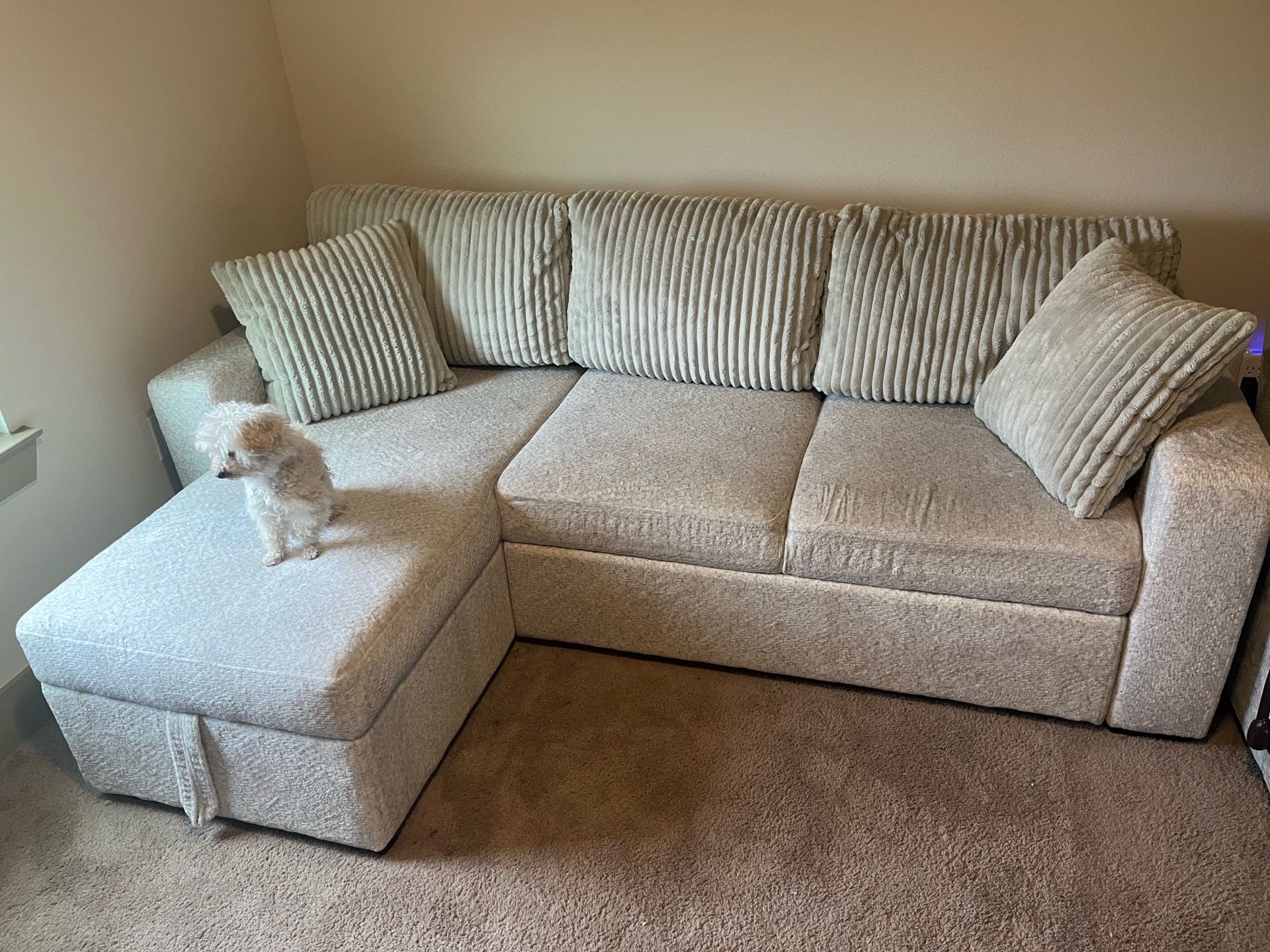 Sofa with Chaise Lounge (with pullout)