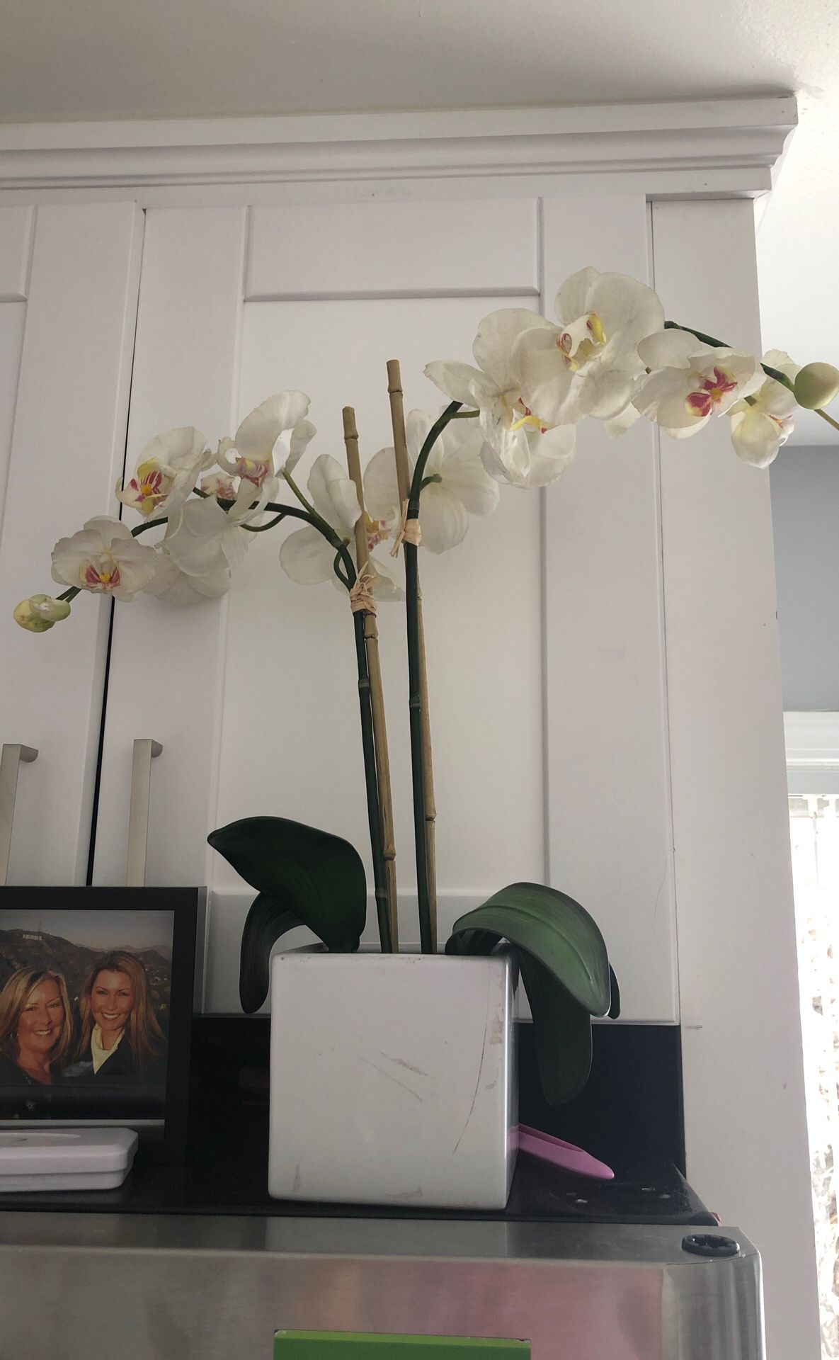 $10 Fake plant orchid white