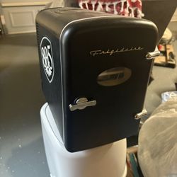 Portable Mini Fridge 