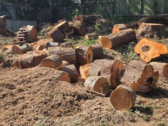 Free firewood rounds for pickup