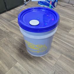 Liquid Laundry Sale