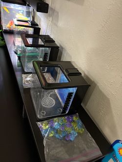Fish tanks 0.7 gallons