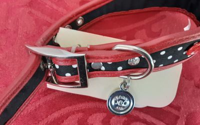 DOG COLLAR.  NEW.  ALSO HAVE PRINCESS HOUSE,  CRYSTAL,  WATRFORD FROM IRELAND AND MUCH MORE. PU 15 &POWAY RD OR 15&8, MV.