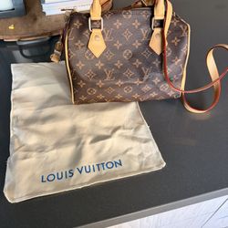 LV Bag