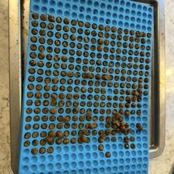 HOMEMADE DOG & CAT TREATS