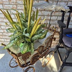 House/ Porch Decor