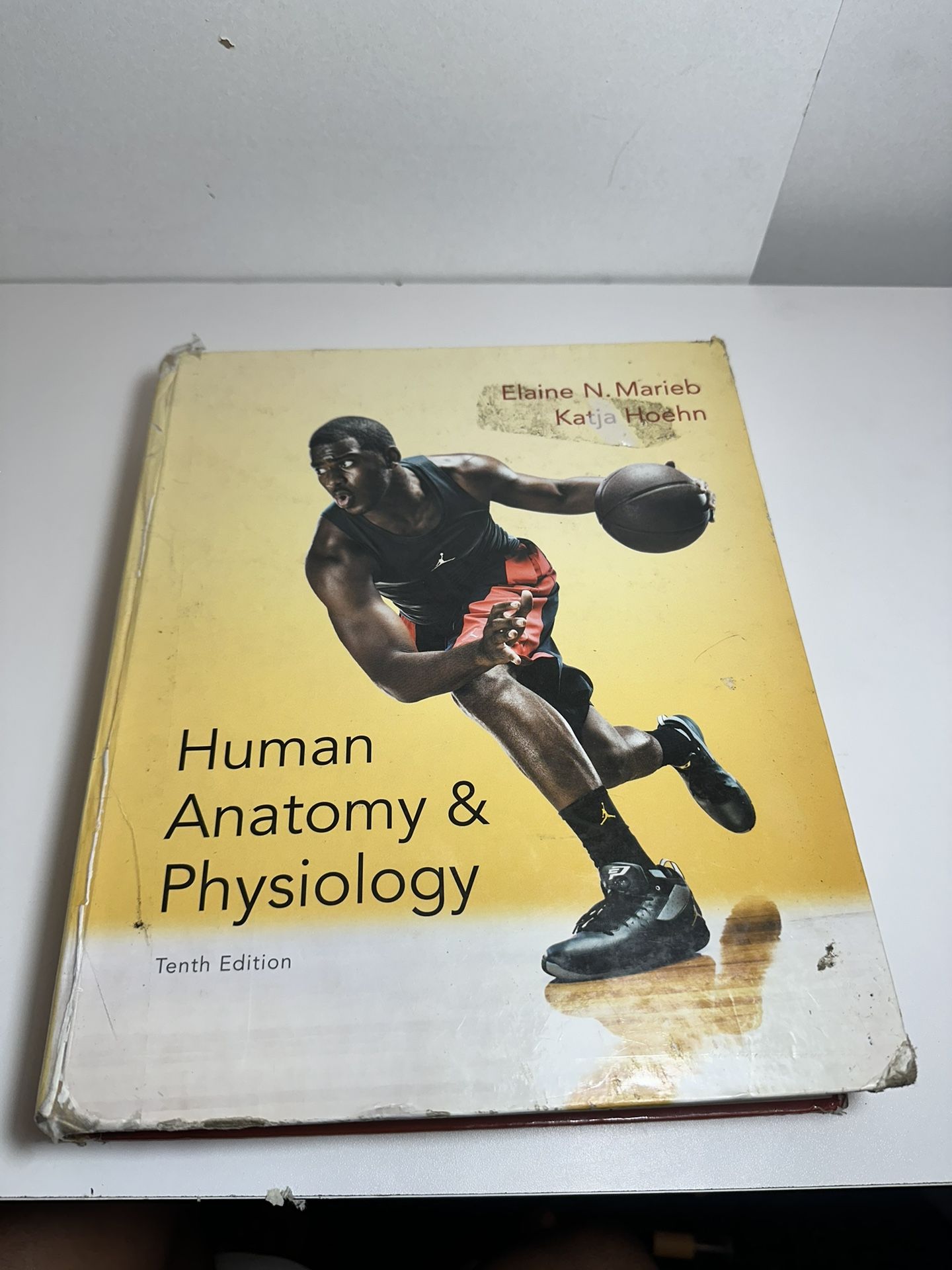 Human Anatomy And Physiology 10th Edition 