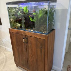 30 Gallon Aquarium with wooden stand,fish and Snails Included 