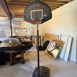 Lifetime Basketball Hoop