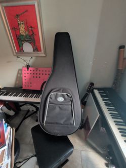 Guitar Case