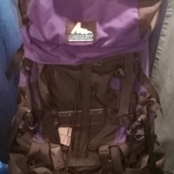 Gregory Hiking Back Pack