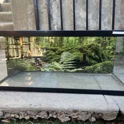 Glass Terrarium 