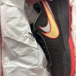Nike Lebrón, Men’s Shoes, Size #12 , $100 Firm 