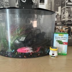 Aquarium 