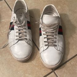 Gucci Ace