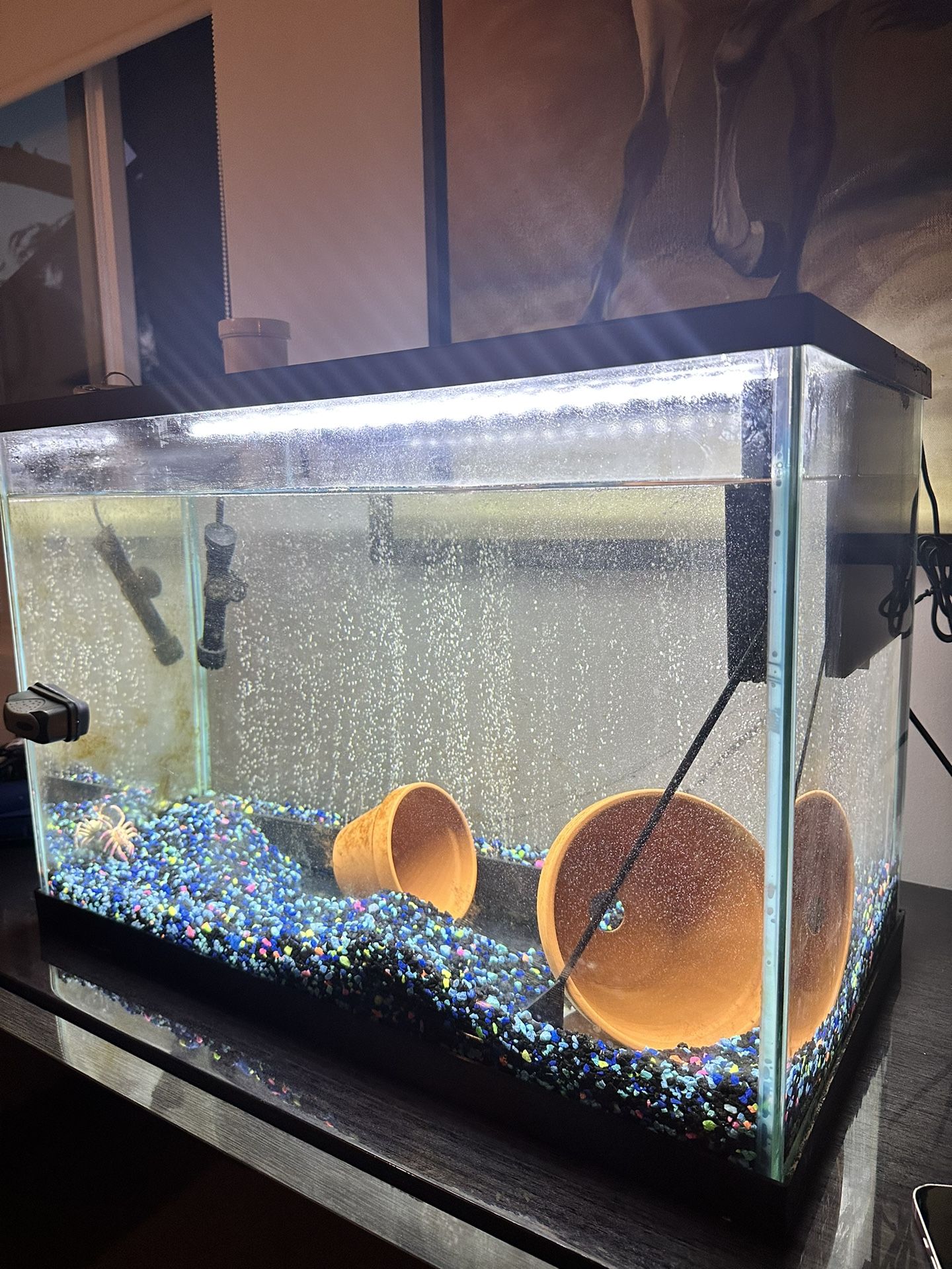 20 Gallons Fish Tank And Lighting And Supplies 