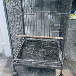 Bird Cage
