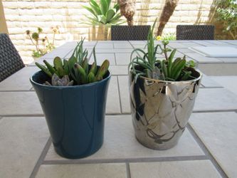 Set Of Silver & Blue/Green Garden Pots With Succulents