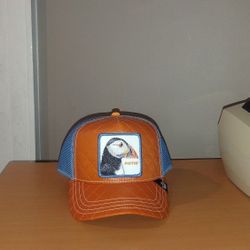 GOORIN BROS HAT for Sale in Bloomfield NJ OfferUp