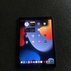 iPad Pro 12.9 1st Gen