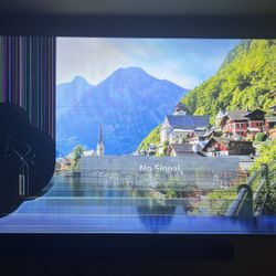 LG 65 Inch $170