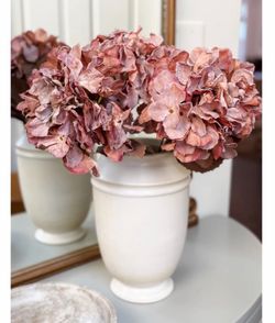 Sumely Stunning Set of 3 Dried Hecranges Picks by Janine
