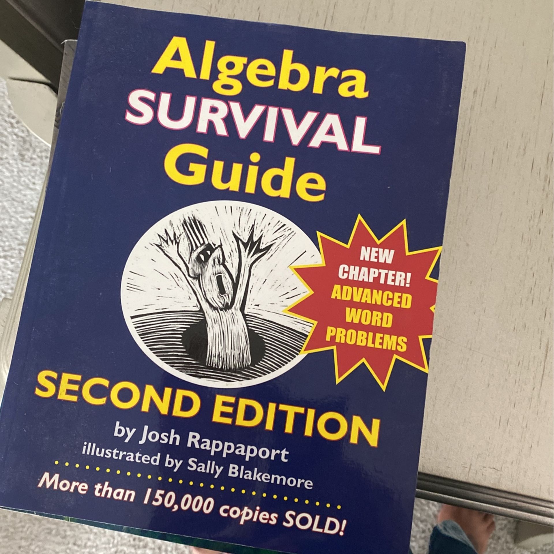 Algebra Survival Guide