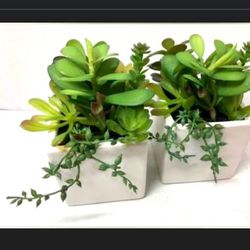 Set Of 2 4” X 7.5” Succulent Planter Project 62
