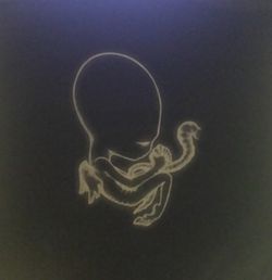 Sigur Ros - Agætis Byrjun 2000 Release vinyl