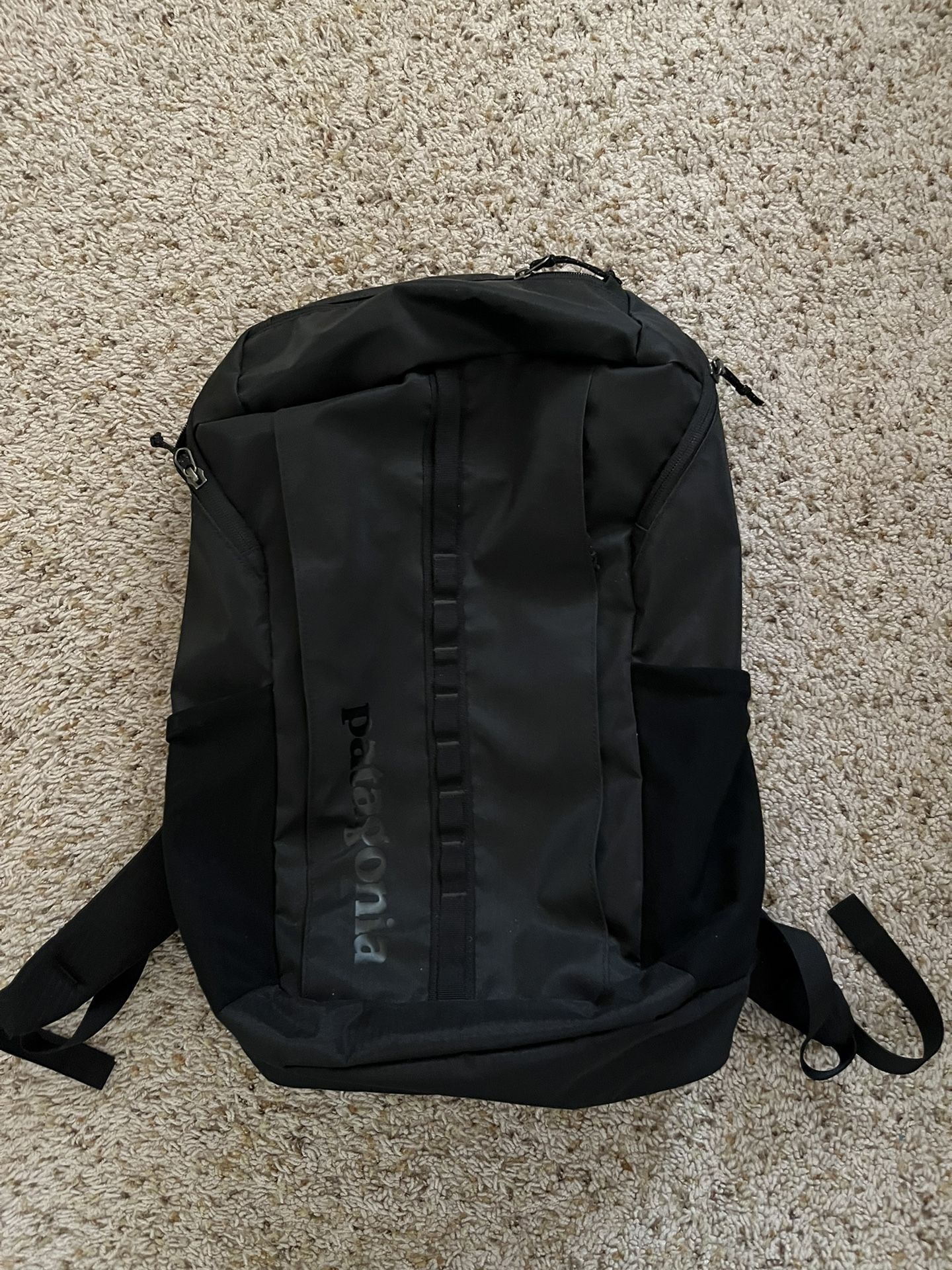 Patagonia Backpack