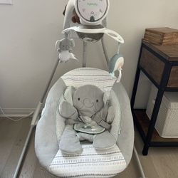 Ingenuity Baby Swing