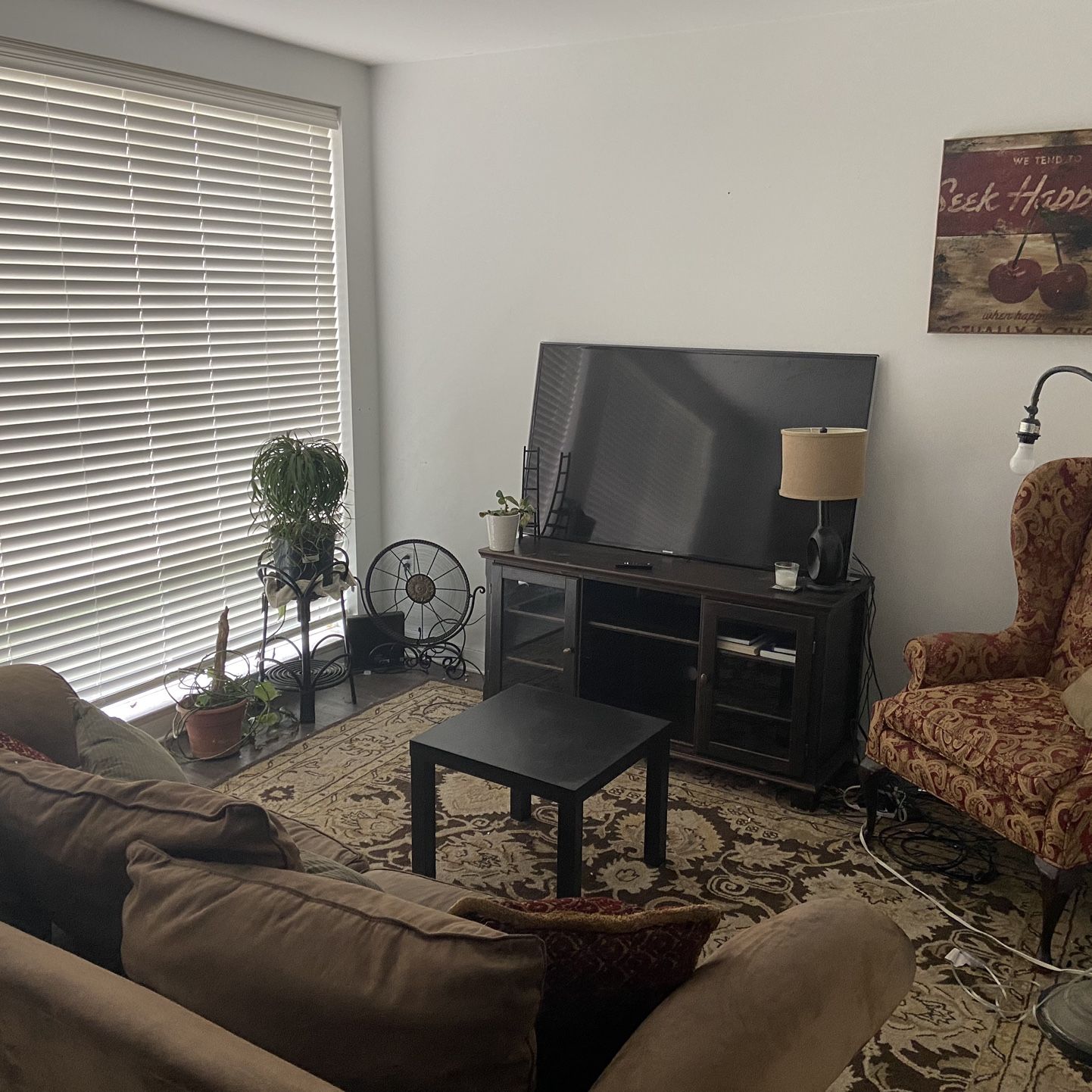 Full Living Room Set (everything seen in picture) 