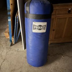 punching Bag