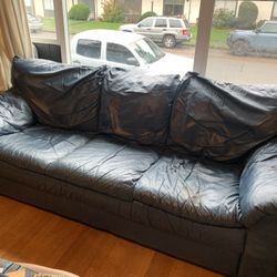 Free Leather Couch