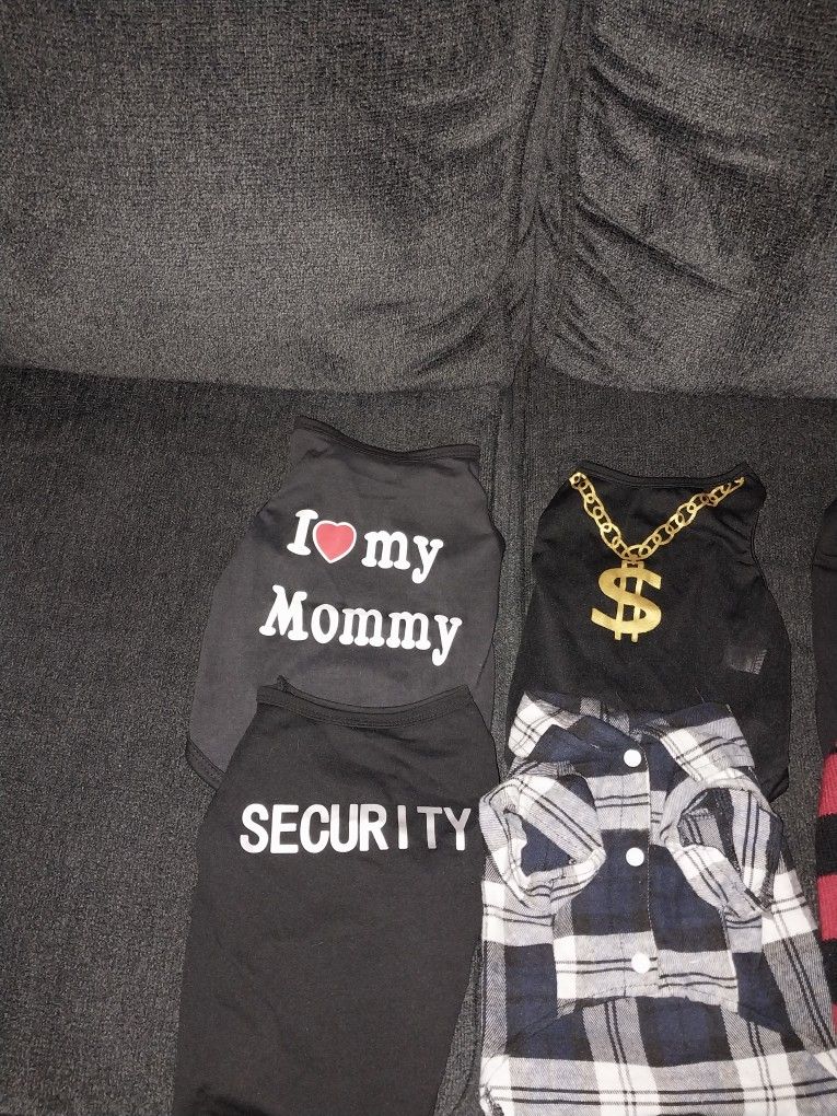 Dog Shirts And Sweaters