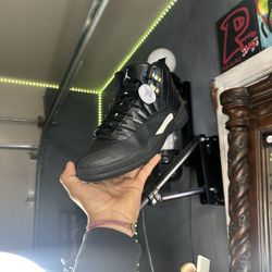 Jordan Master 12s