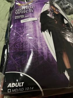 Gothic Witch Halloween Costume Adult MD/LG