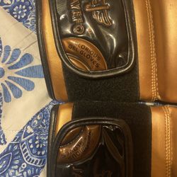 Boxing Gloves 14 Oz