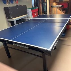 Ping Pong Table 