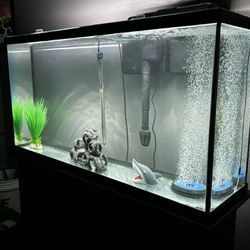 60 Gallon Fish Tank 