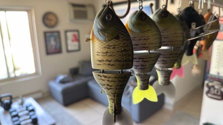 Swim baits