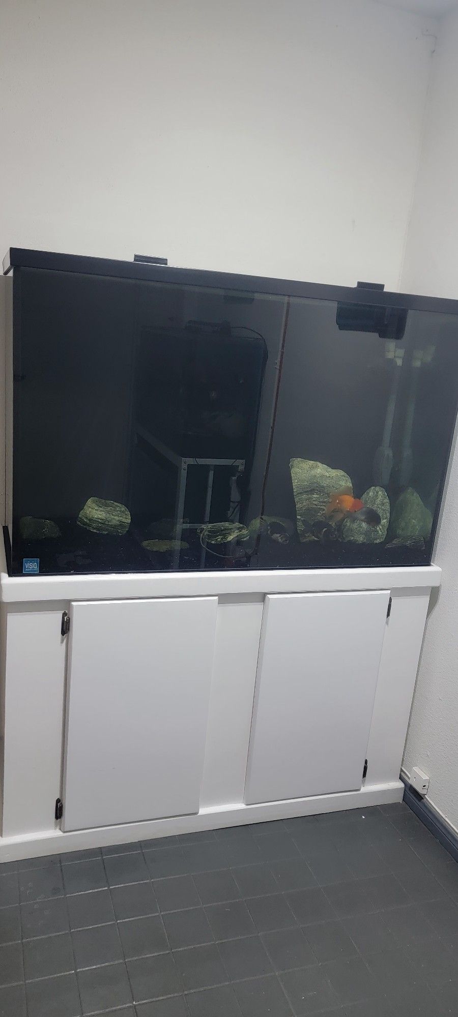 110 Gallon Fish Tank