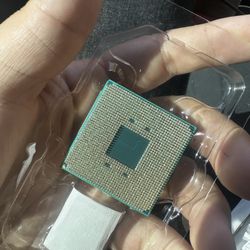 AMD Ryzen 5 5600x