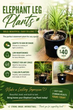 Elephant leg plants 🪴🐘🐘