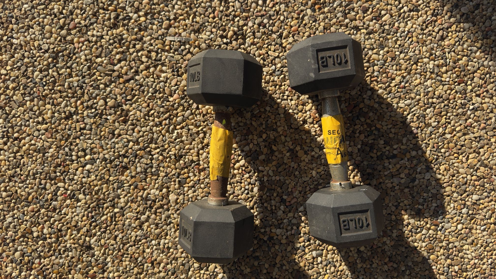 10lbs Dumbbells 