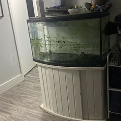 46 Gallon Bow Tank, Stand , Top And Filter !