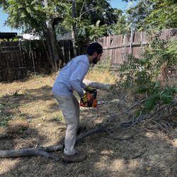 Chainsaw