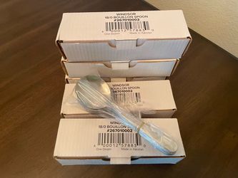 Stainless Spoon